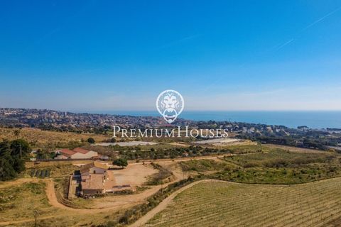 Villa a Alella, Barcelona, Alella - € 5.800.000 | Ref: PH103752/3699 - foto 50