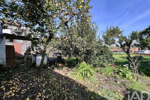 Byhus i Aveiro, Aveiro, Aveiro - € 250.000 | Ref: 834329 - foto 25