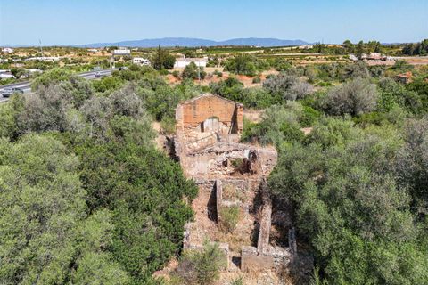 Helårsgrund i Lagoa, Faro, Lagoa - € 1.500.000 | Ref: 119250087 - foto 6