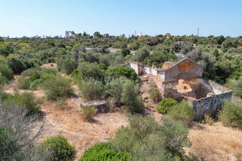 Helårsgrund i Lagoa, Faro, Lagoa - € 1.500.000 | Ref: 119250087 - foto 7
