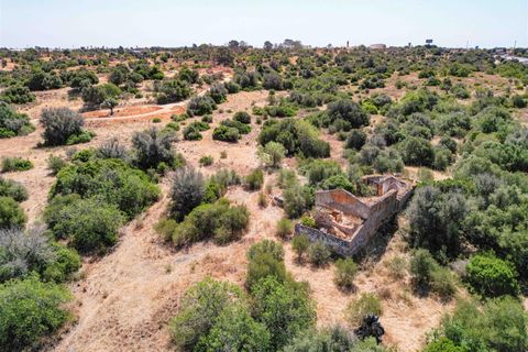 Helårsgrund i Lagoa, Faro, Lagoa - € 1.500.000 | Ref: 119250087 - foto 9