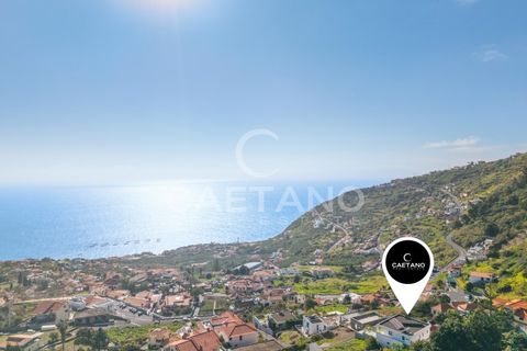 Villa i Arco da Calheta, Madeira, Arco da Calheta - € 1.295.000 | Ref: 3274 - foto 4