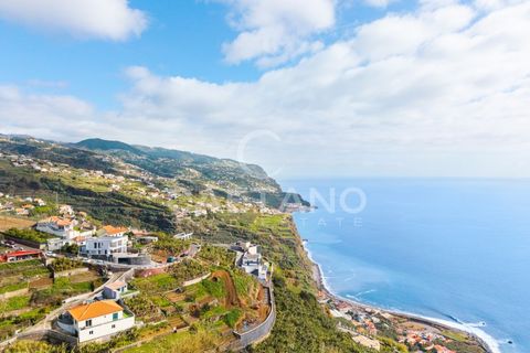 Villa i Ponta do Sol, Madeira, Ponta do Sol - € 2.800.000 | Ref: 3262 - foto 8
