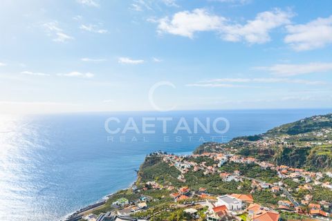 Villa i Ponta do Sol, Madeira, Ponta do Sol - € 2.800.000 | Ref: 3262 - foto 9