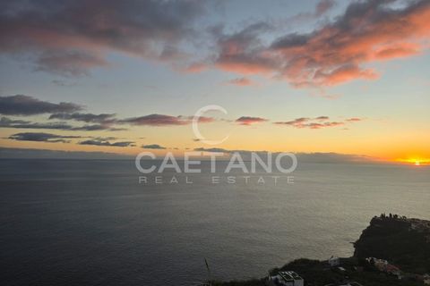 Villa i Ponta do Sol, Madeira, Ponta do Sol - € 2.800.000 | Ref: 3262 - foto 17
