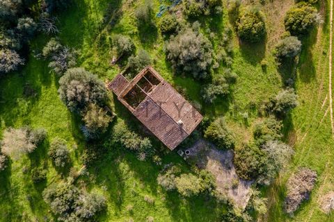 Helårsgrund i Estombar, Faro, Estombar - € 530.000 | Ref: City-26-16C - foto 4