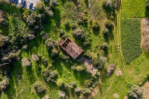 Helårsgrund i Estombar, Faro, Estombar - € 530.000 | Ref: City-26-16C - foto 5