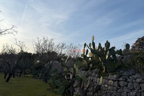 Helårsgrund i Ostuni, Brindisi, Ostuni - € 240.000 | Ref: 365 - foto 37