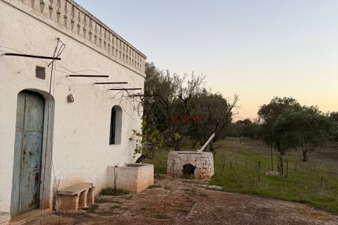 Helårsgrund i Ostuni, Brindisi, Ostuni - € 240.000 | Ref: 365 - foto 28
