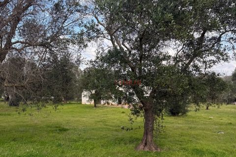 Helårsgrund i Ostuni, Brindisi, Ostuni - € 240.000 | Ref: 365 - foto 38