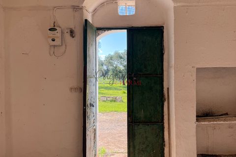Helårsgrund i Ostuni, Brindisi, Ostuni - € 240.000 | Ref: 365 - foto 43