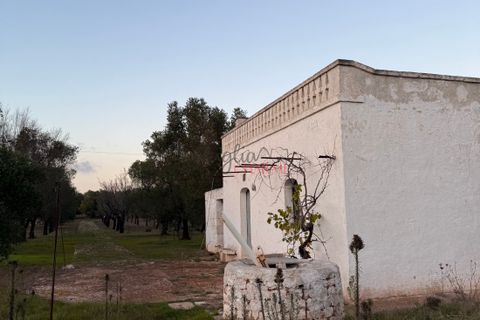 Helårsgrund i Ostuni, Brindisi, Ostuni - € 240.000 | Ref: 365 - foto 27