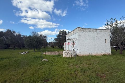 Helårsgrund i Ostuni, Brindisi, Ostuni - € 240.000 | Ref: 365 - foto 41