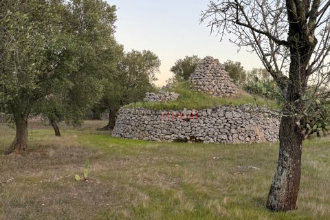 Helårsgrund i Ostuni, Brindisi, Ostuni - € 240.000 | Ref: 365 - foto 30