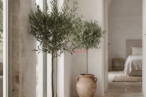 Helårsgrund i Ostuni, Brindisi, Ostuni - € 240.000 | Ref: 365 - foto 14