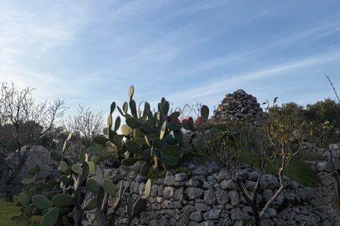 Helårsgrund i Ostuni, Brindisi, Ostuni - € 240.000 | Ref: 365 - foto 36