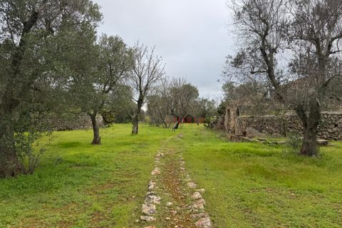 Helårsgrund i Ostuni, Brindisi, Ostuni - € 240.000 | Ref: 365 - foto 34
