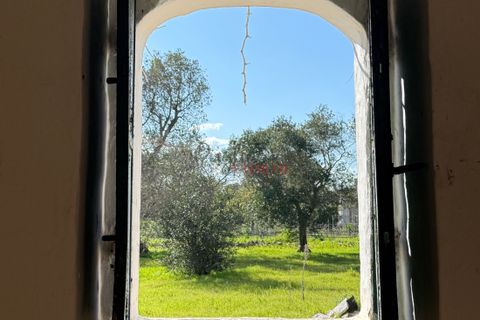 Helårsgrund i Ostuni, Brindisi, Ostuni - € 240.000 | Ref: 365 - foto 40