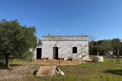 Helårsgrund i Ostuni, Brindisi, Ostuni - € 240.000 | Ref: 365 - foto 25