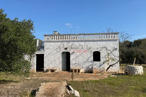 Helårsgrund i Ostuni, Brindisi, Ostuni - € 240.000 | Ref: 365 - foto 26