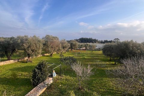 Villa a Ostuni, Brindisi, Ostuni - € 340.000 | Ref: 364 - foto 7
