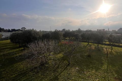 Villa a Ostuni, Brindisi, Ostuni - € 340.000 | Ref: 364 - foto 45