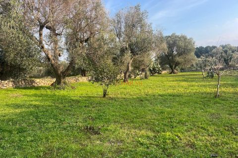 Villa a Ostuni, Brindisi, Ostuni - € 340.000 | Ref: 364 - foto 8