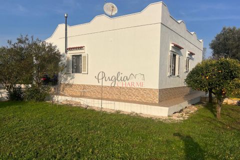 Villa a Ostuni, Brindisi, Ostuni - € 340.000 | Ref: 364 - foto 5