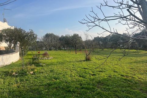 Villa a Ostuni, Brindisi, Ostuni - € 340.000 | Ref: 364 - foto 42