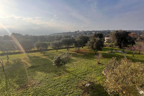 Villa a Ostuni, Brindisi, Ostuni - € 340.000 | Ref: 364 - foto 44
