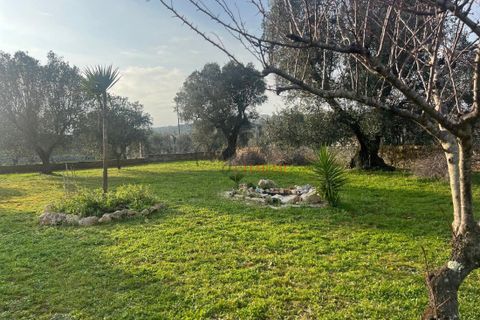 Villa a Ostuni, Brindisi, Ostuni - € 340.000 | Ref: 364 - foto 43