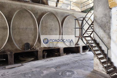 Erhvervsejendom i Trepuzzi, Lecce, Trepuzzi - € 180.000 | Ref: 82 - foto 6