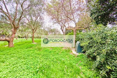 Villa i Lecce, Lecce, Lecce - € 300.000 | Ref: 85 - foto 34