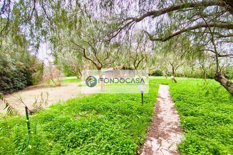 Villa i Lecce, Lecce, Lecce - € 300.000 | Ref: 85 - foto 35