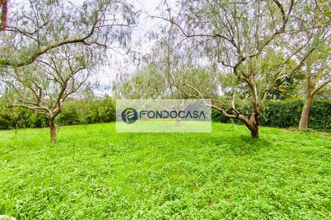 Villa i Lecce, Lecce, Lecce - € 300.000 | Ref: 85 - foto 36