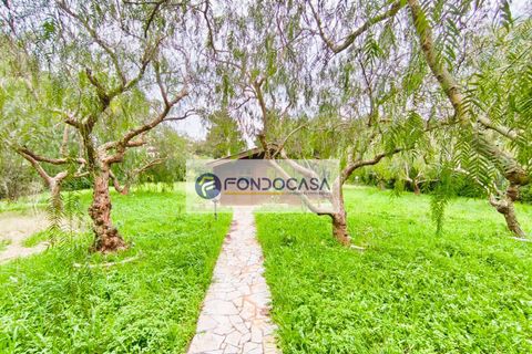 Villa i Lecce, Lecce, Lecce - € 300.000 | Ref: 85 - foto 37