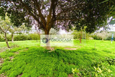Villa i Lecce, Lecce, Lecce - € 300.000 | Ref: 85 - foto 38