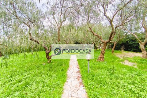 Villa i Lecce, Lecce, Lecce - € 300.000 | Ref: 85 - foto 39