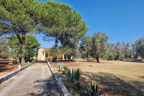 Villa a Oria, Brindisi, Oria - € 390.000 | Ref: V774 - foto 2