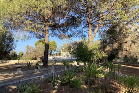 Villa a Oria, Brindisi, Oria - € 390.000 | Ref: V774 - foto 28