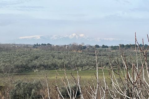 Villa a Vasto, Chieti, Vasto - € 480.000 | Ref: 5319 - foto 7
