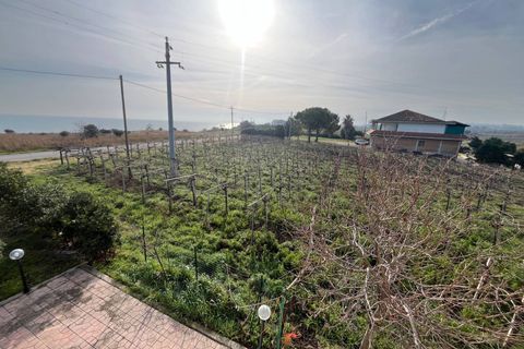 Villa a Vasto, Chieti, Vasto - € 480.000 | Ref: 5319 - foto 6