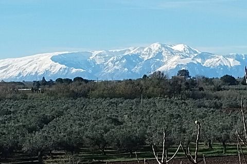Villa a Vasto, Chieti, Vasto - € 480.000 | Ref: 5319 - foto 4