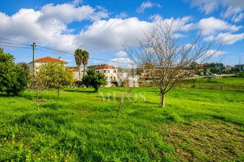 Villa i Viana do Castelo, Viana do Castelo, Viana do Castelo - € 297.500 | Ref: S238 - foto 9