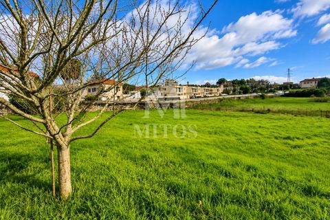 Villa i Viana do Castelo, Viana do Castelo, Viana do Castelo - € 297.500 | Ref: S238 - foto 10