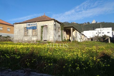Terra a Areosa, Viana do Castelo, Areosa - € 750.000 | Ref: F951 - foto 2