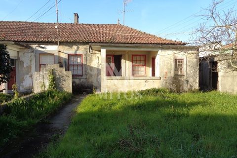 Terra a Areosa, Viana do Castelo, Areosa - € 750.000 | Ref: F951 - foto 3