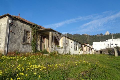 Terra a Areosa, Viana do Castelo, Areosa - € 750.000 | Ref: F951 - foto 4