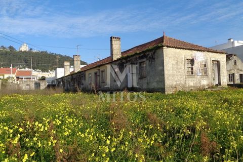 Terra a Areosa, Viana do Castelo, Areosa - € 750.000 | Ref: F951 - foto 7