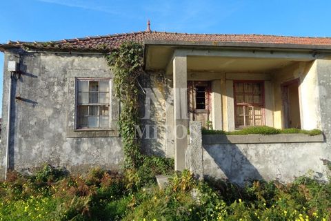 Terra a Areosa, Viana do Castelo, Areosa - € 750.000 | Ref: F951 - foto 8